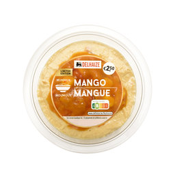Hummus | Mango