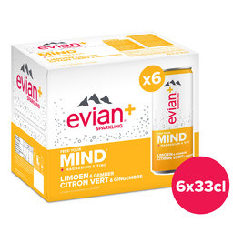 Evian+ | Limoen Gember | Magnesium Zink | PET